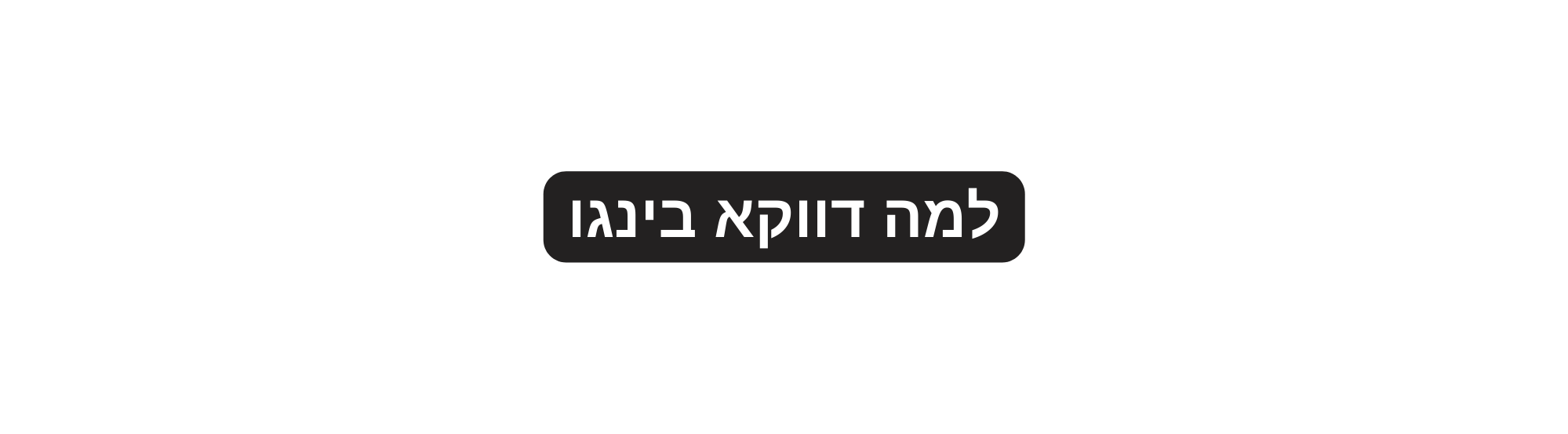 למה דווקא בינגו